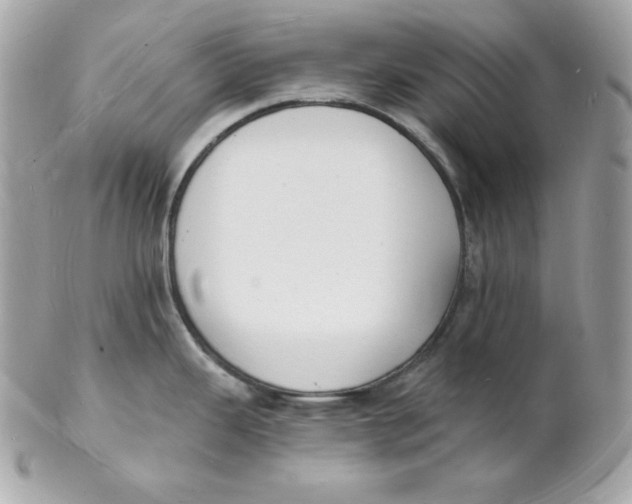 X0000102231343200808151720