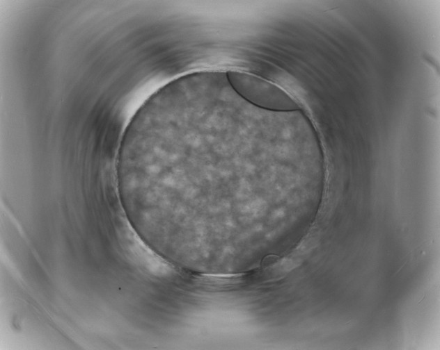 X0000102231344200808151720