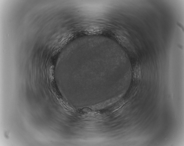 X0000102231346200808151719