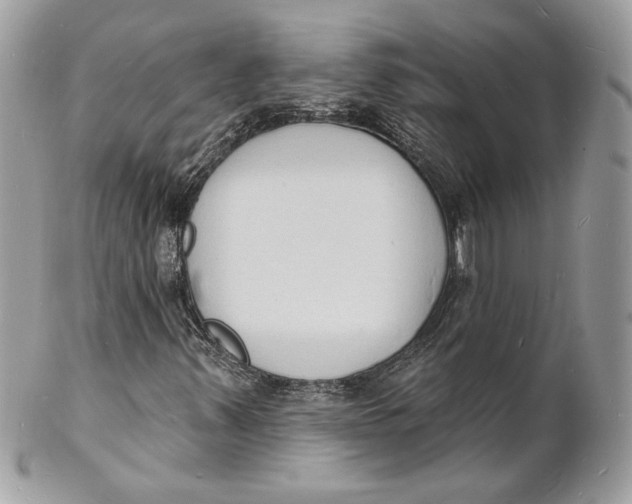 X0000102231347200808151719