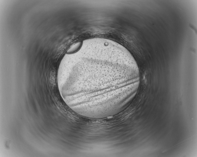 X0000102231348200808151719