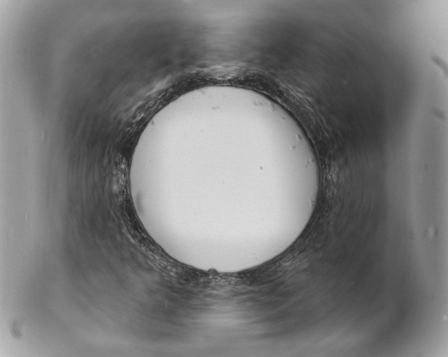 X0000102231349200808151719