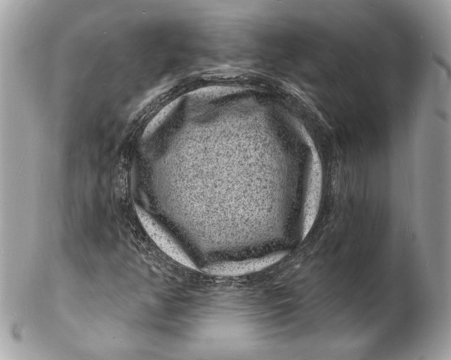 X0000102231350200808151719