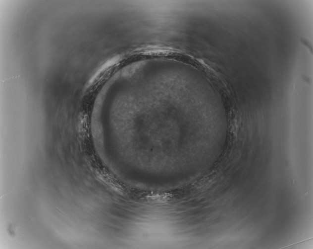 X0000102231351200808151719