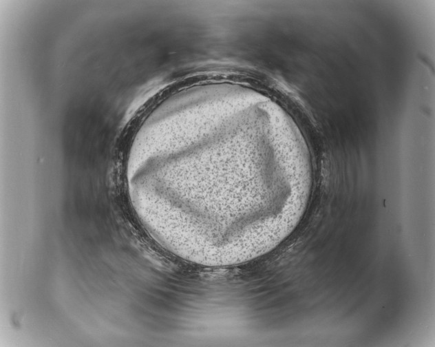 X0000102231352200808151719