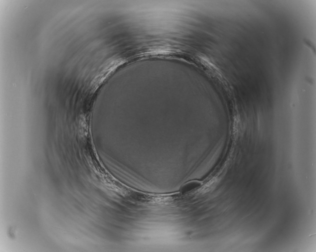 X0000102231353200808151719
