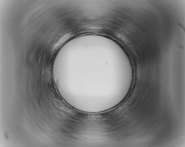 X0000102231354200808151719