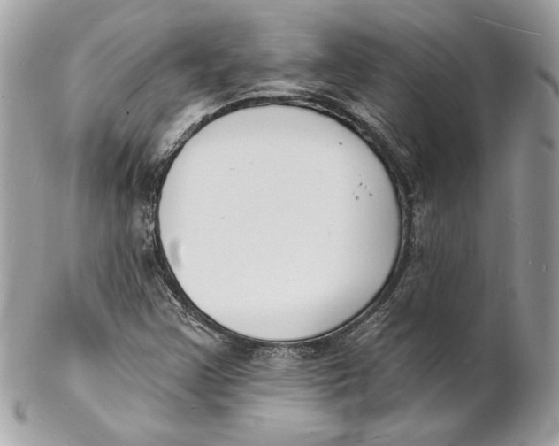 X0000102231355200808151719