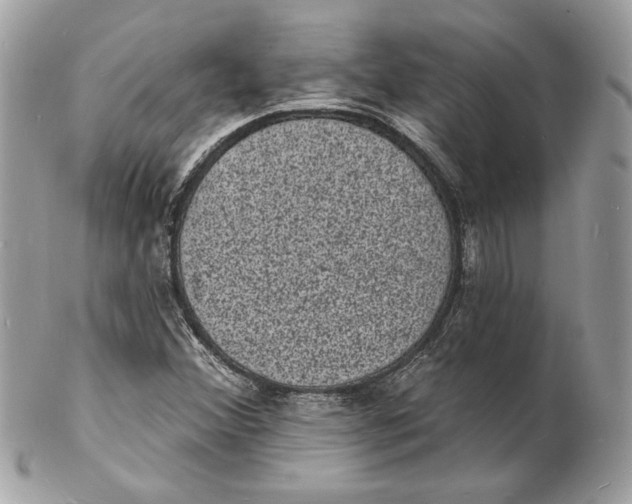 X0000102231356200808151719