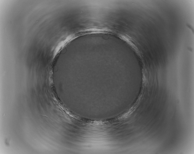 X0000102231357200808151719