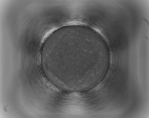 X0000102231358200808151719