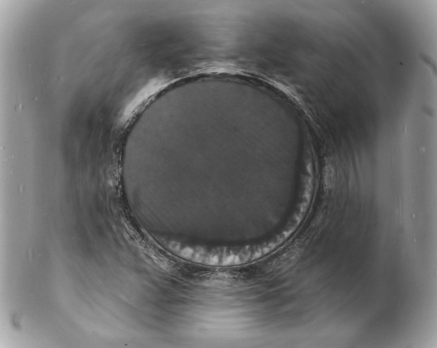 X0000102231359200808151719
