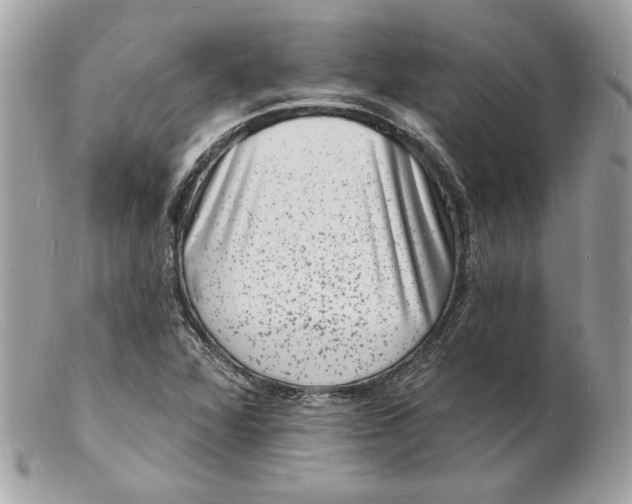 X0000102231360200808151719