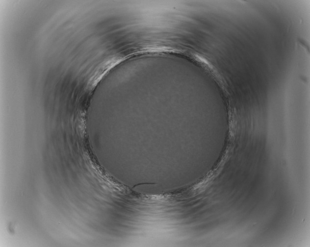 X0000102231361200808151719