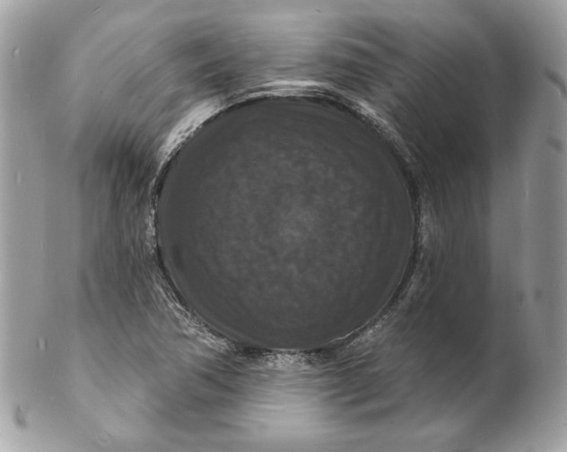 X0000102231362200808151719