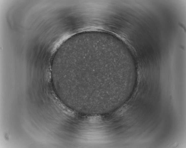 X0000102231363200808151719