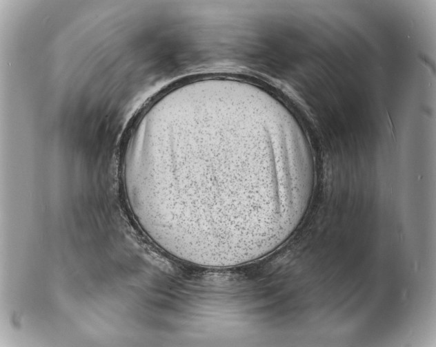 X0000102231364200808151719