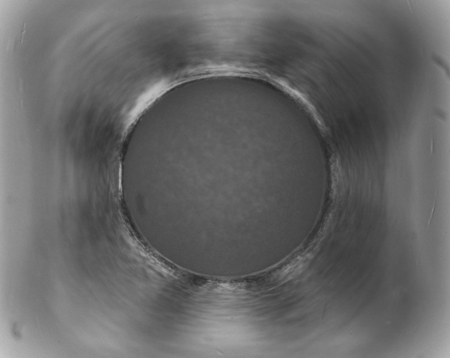 X0000102231365200808151719