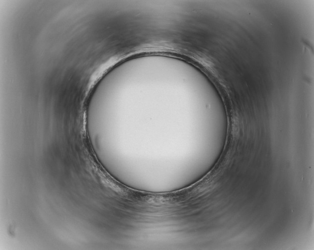 X0000102231366200808151719