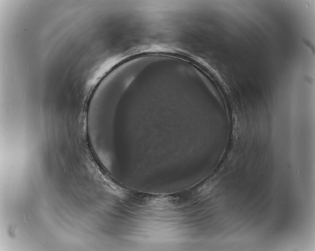 X0000102231367200808151719