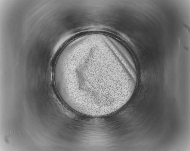 X0000102231368200808151719