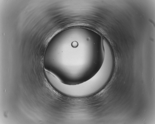 X0000102231369200808151719