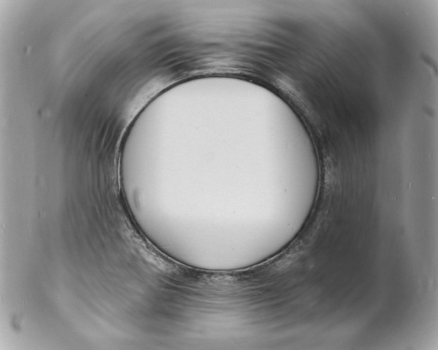 X0000102231370200808151719