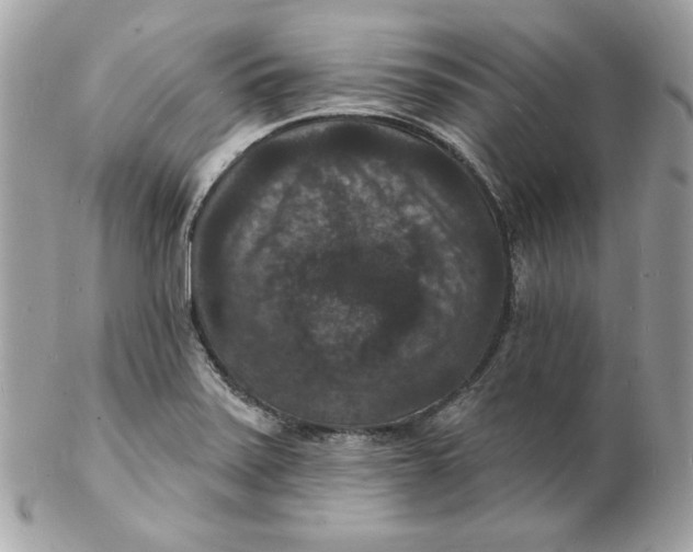 X0000102231371200808151719