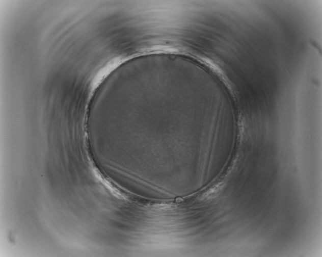 X0000102231373200808151719