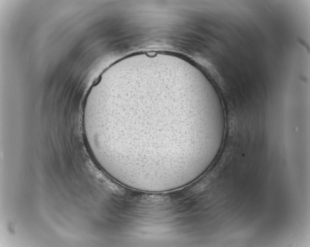 X0000102231374200808151719