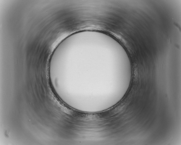 X0000102231375200808151719