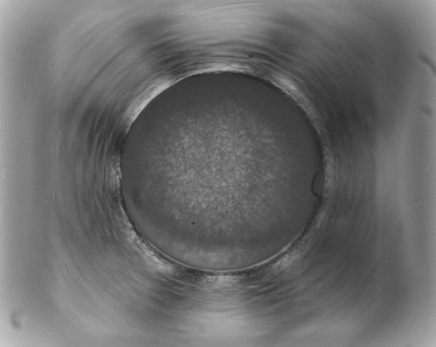 X0000102231377200808151719