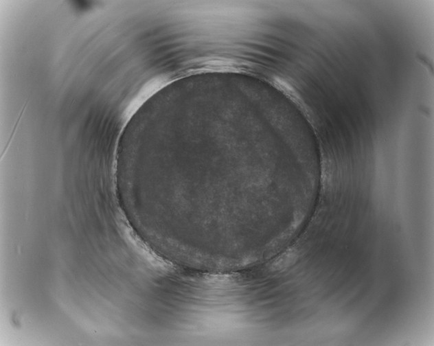 X0000102231378200808151719