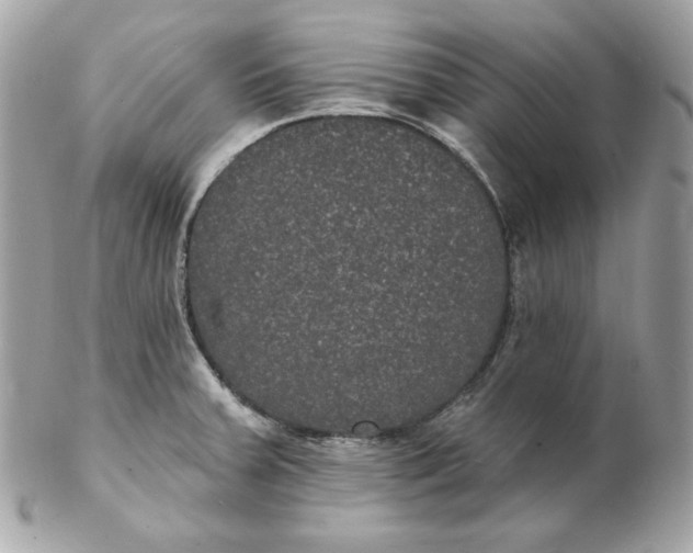 X0000102231379200808151719