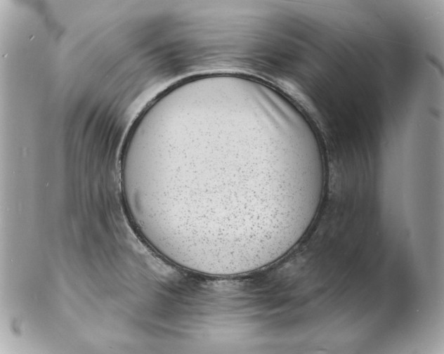 X0000102231380200808151719
