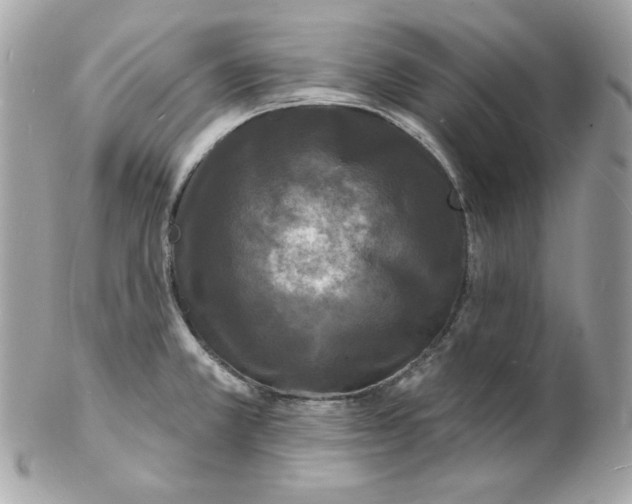 X0000102231381200808151719