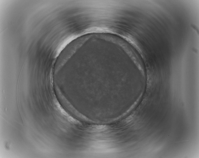 X0000102231382200808151719