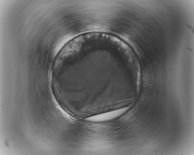 X0000102231383200808151719