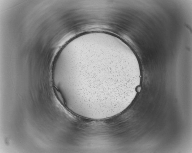 X0000102231384200808151719