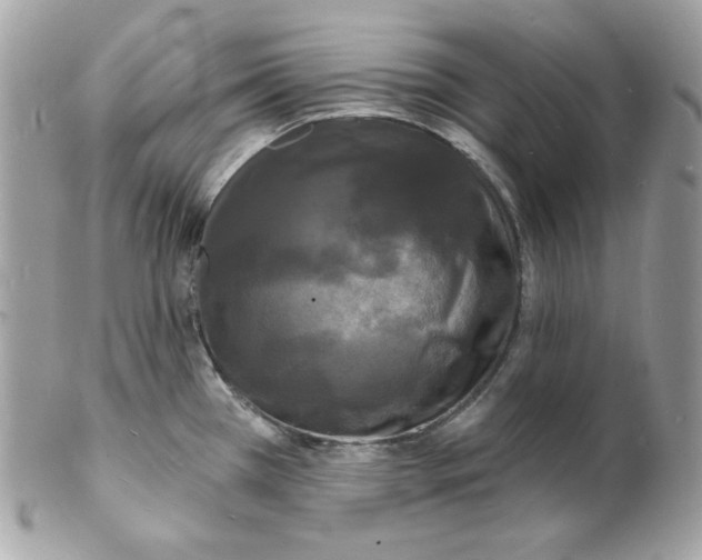 X0000102231385200808151719