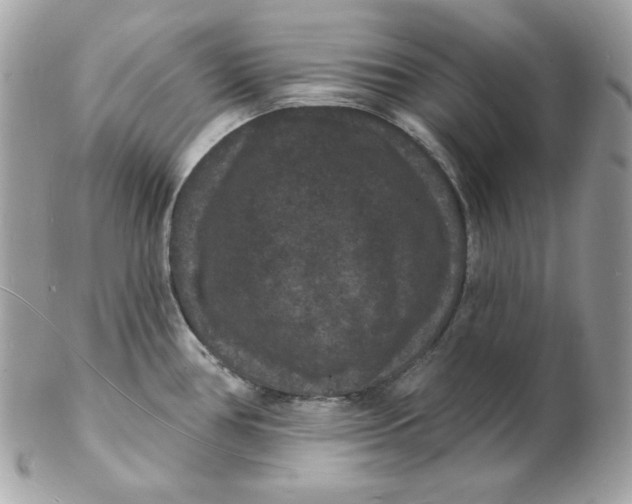 X0000102231386200808151719