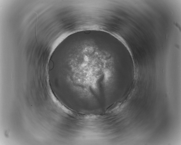 X0000102231389200808151719