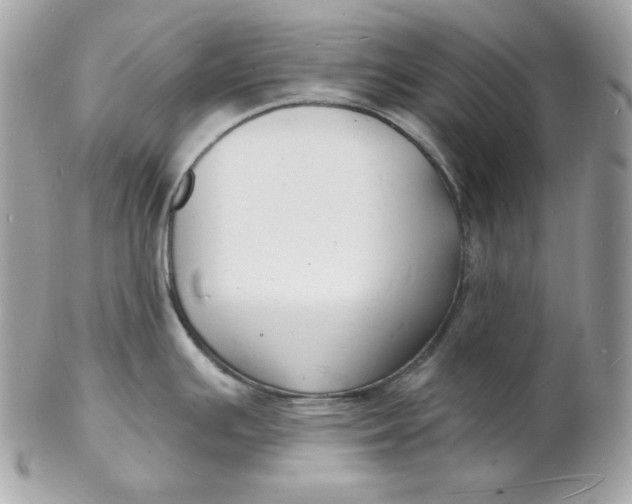 X0000102231391200808151719