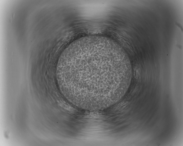 X0000102231393200808151718