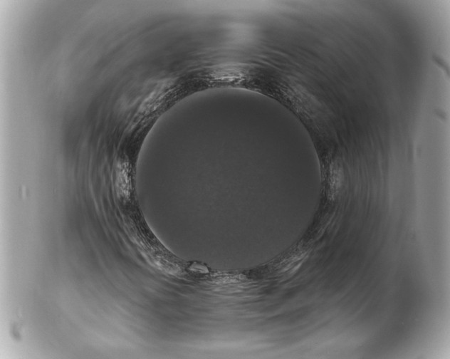 X0000102231394200808151718