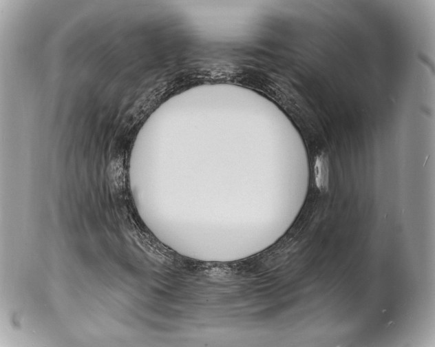 X0000102231395200808151718