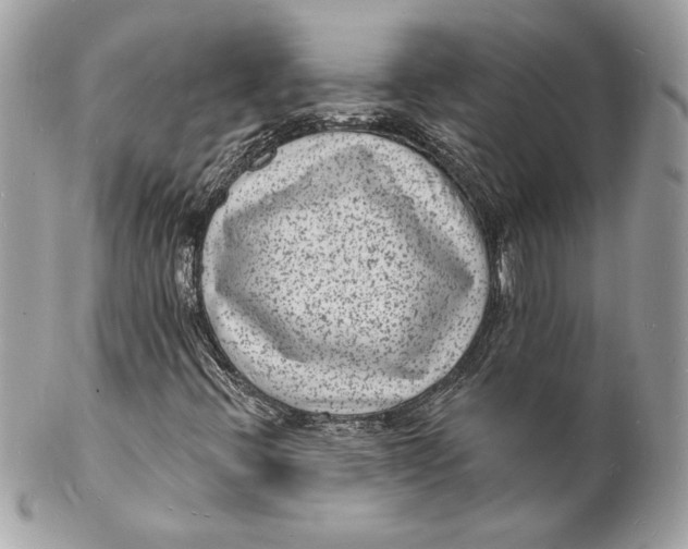 X0000102231396200808151718