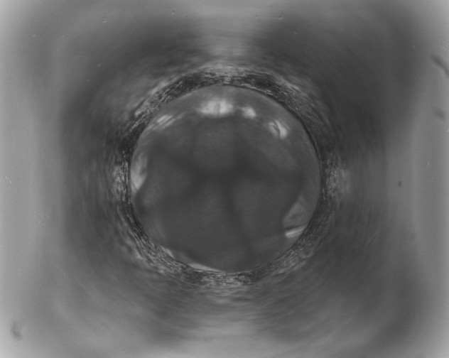 X0000102231397200808151718