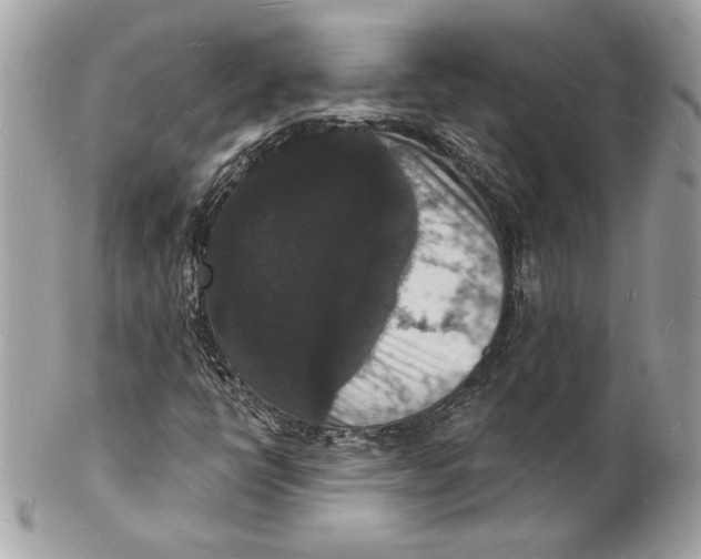 X0000102231398200808151718