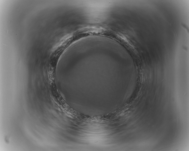 X0000102231399200808151718